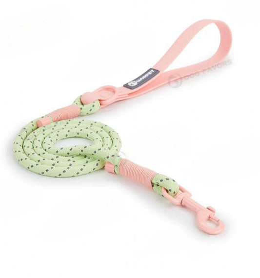 Green Pink Leash
