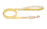 Yellow Gridded Set