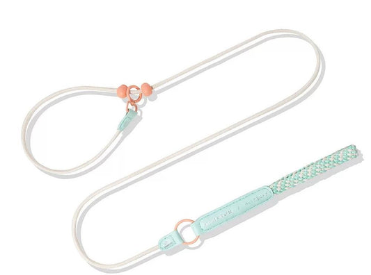 Blue Pink Rope Leash