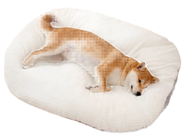 White Patterned Cushion